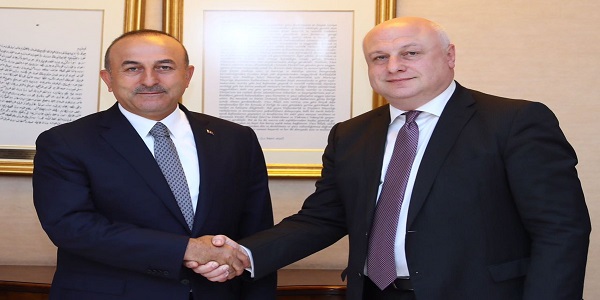 Foreign Minister Çavuşoğlu received Vice-President of the OSCE Parliamentary Assembly George Tsereteli and delegation of parliamentarians, 7 June 2017