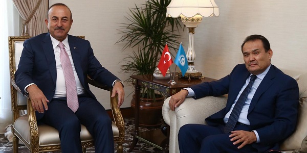 لقاء السيد تشاووش أوغلو وزير الخارجية مع السفير بغداد أرمييف أمين عام المجلس التركي، 12 أيلول/سبتمبر 2018 