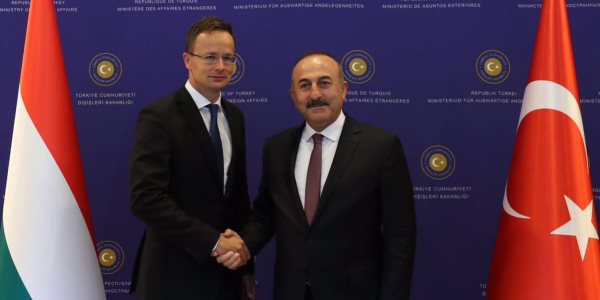 The visit of the Minister of Foreign Affairs and Trade of Hungary