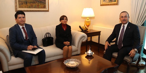 اجتماعات وزير خارجية جمهورية تركيا مع سفراء الإكوادور وكولومبيا وكوسوفو وإستونيا، 15 يناير/كانون الثاني 2020