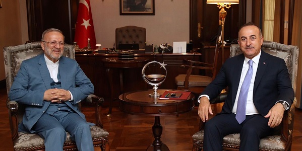 Réunion du ministre des Affaires étrangères, Mevlüt Çavuşoğlu, avec le coordinateur du « Comité Hamide Effort » et ses membres, 13 septembre 2019
