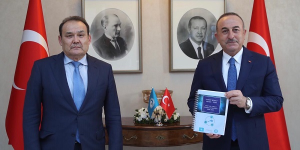 لقاء وزير الخارجية مولود تشاووش أوغلو مع الأمين العام للمجلس التركي بغداد عمرييف، 30 ديسمبر/ كانون الأول 2020