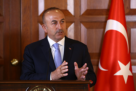 Image result for Turkish Foreign Minister Mevlut Cavusoglu