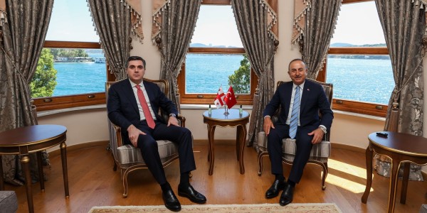 Meeting of Foreign Minister Mevlüt Çavuşoğlu with Foreign Minister Ilia Darchiashvili of Georgia, 28 July 2022