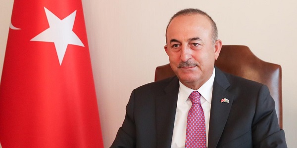 Participation of Foreign Minister Mevlüt Çavuşoğlu in the Ministerial Meeting of the Group of Friends of the United Nations Alliance of Civilizations held via videoconference, 29 September 2020